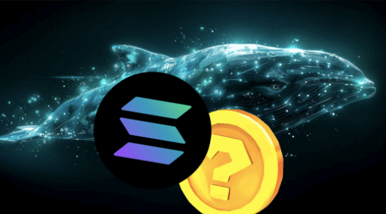 Major Investors Turn to XYZVerse as Solana Faces Decline, with a 15,000% Increase on the Horizon