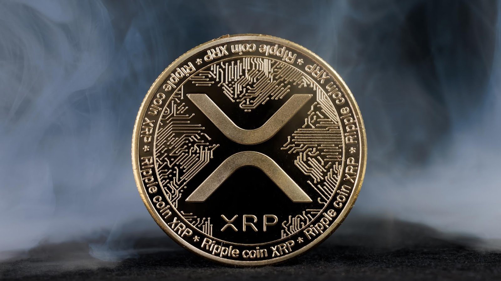 Unveiling a Bold Crypto Transition: A Ripple Millionaire's Leap into PayDax