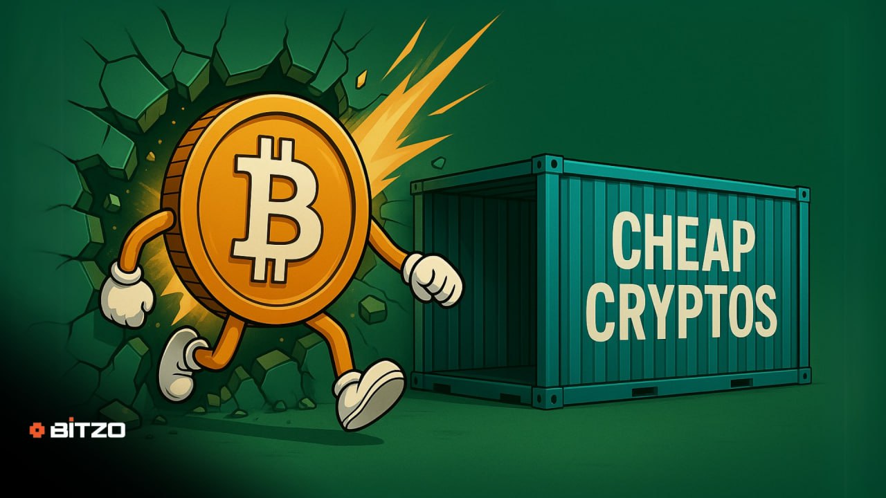 Undervalued Cryptos Set to Rally After Bitcoin’s Next Breakout – Here Are the Top Picks