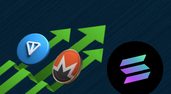 Postponed Market Surge Puts TON, XMR, and SOL in the Spotlight for 2025