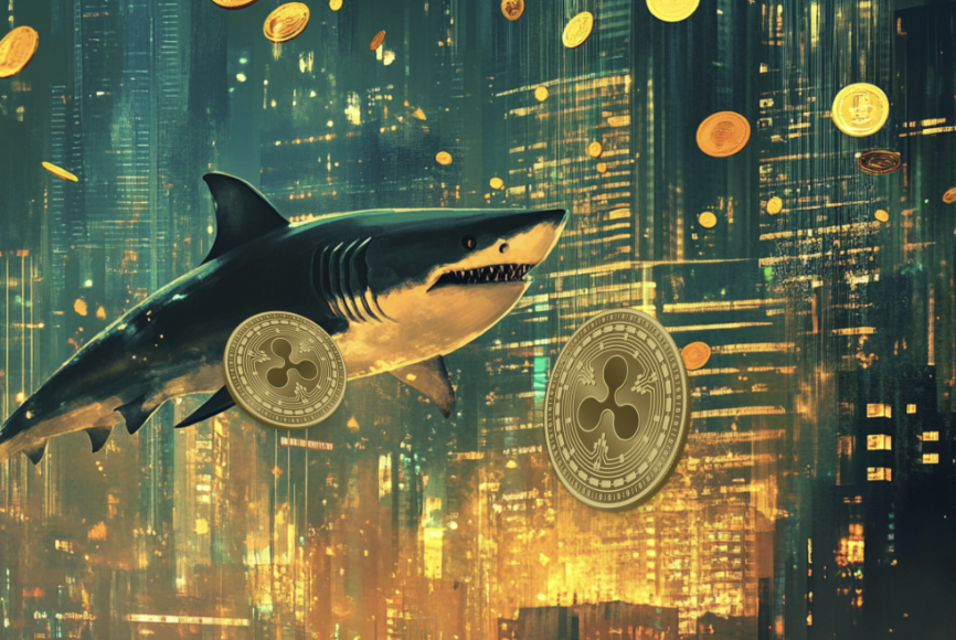 ADA and XRP Supporters Place Big Bets on Remittix: Shaping the Future of Global Crypto Transactions