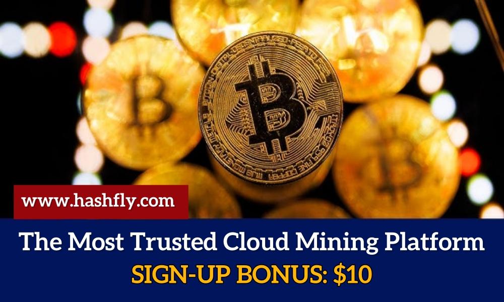 Exploring HashFly: The Premier Bitcoin Cloud Mining Solution of 2025