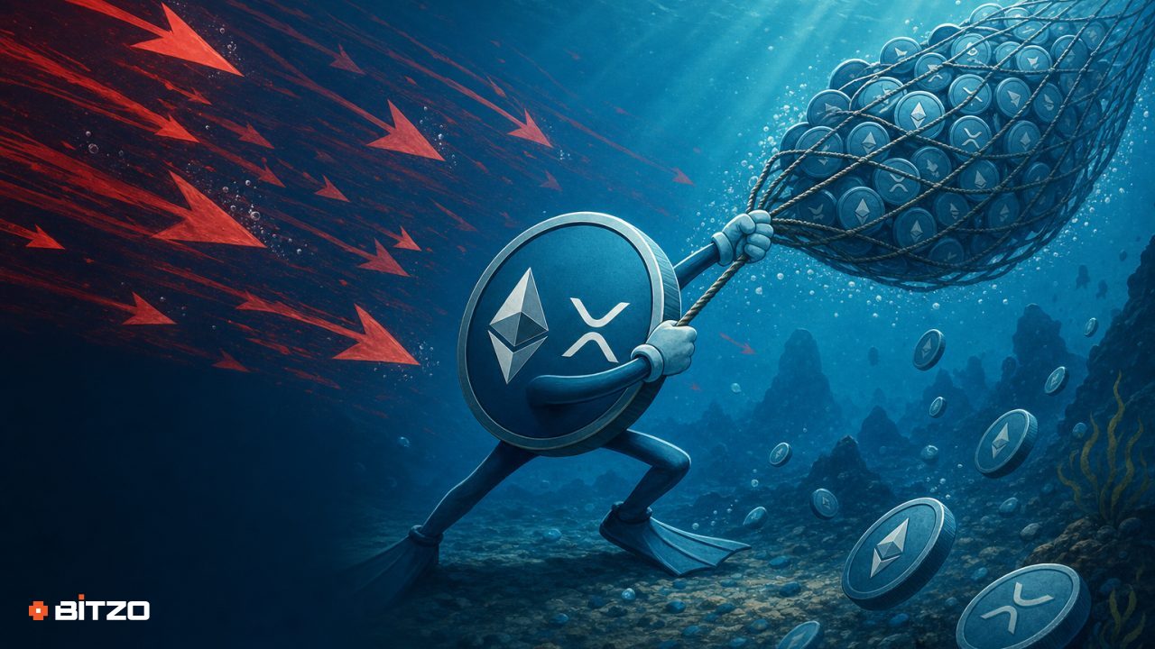 ETH and XRP Whales Keep Accumulating Through the Late-Stage Bear Market