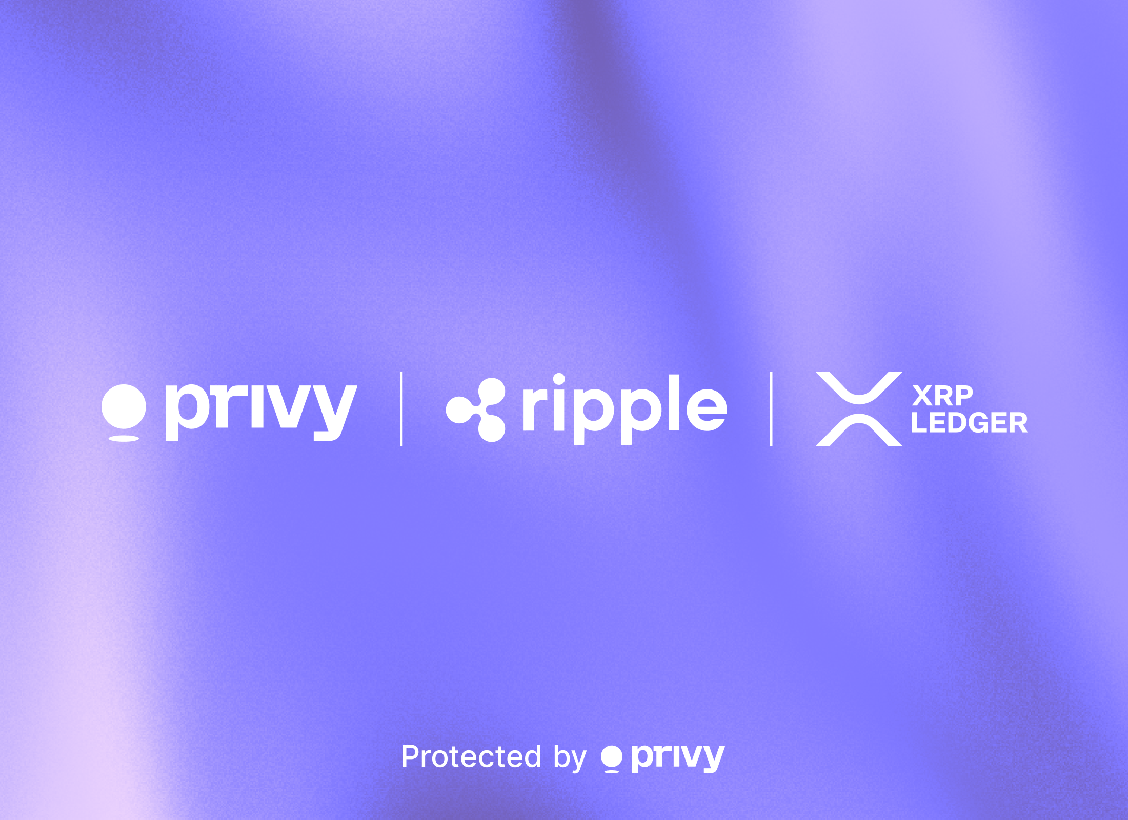 Official Privy–Ripple–XRP Ledger partnership graphic.