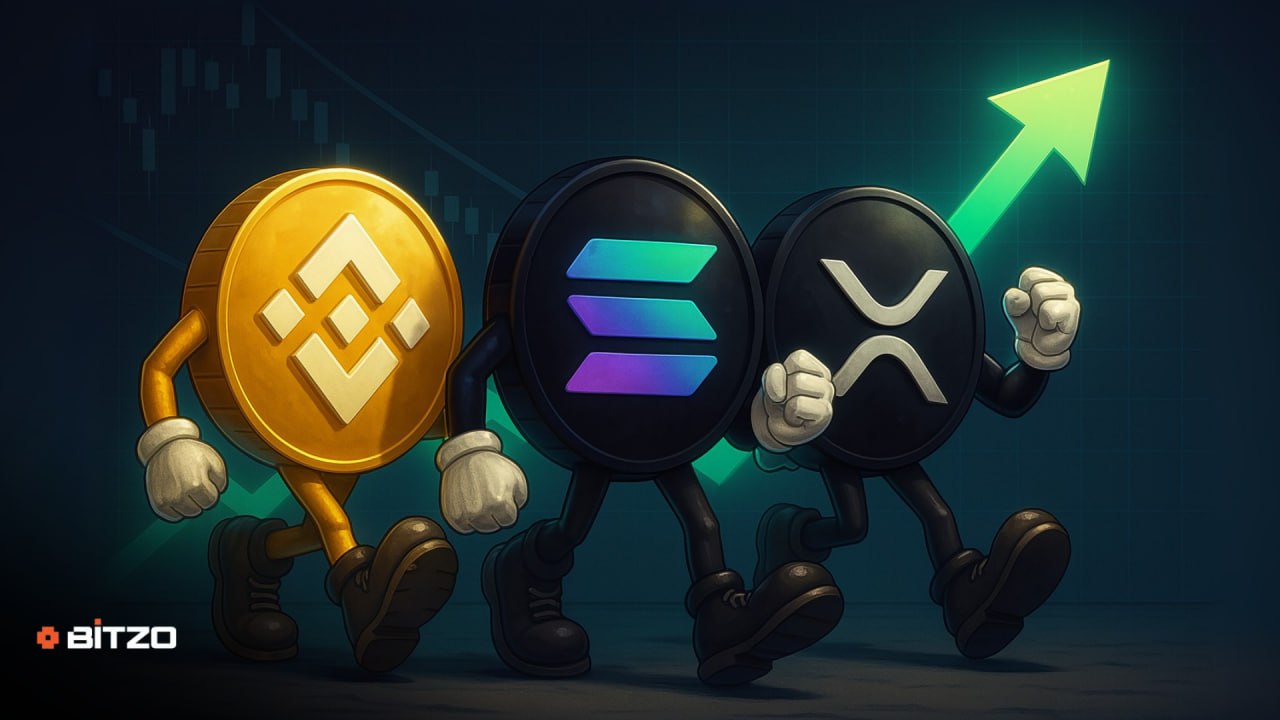 The Institutional Floodgates Are Opening: Projects Like Solana (SOL), XRP, and BNB Leading the Next Wave