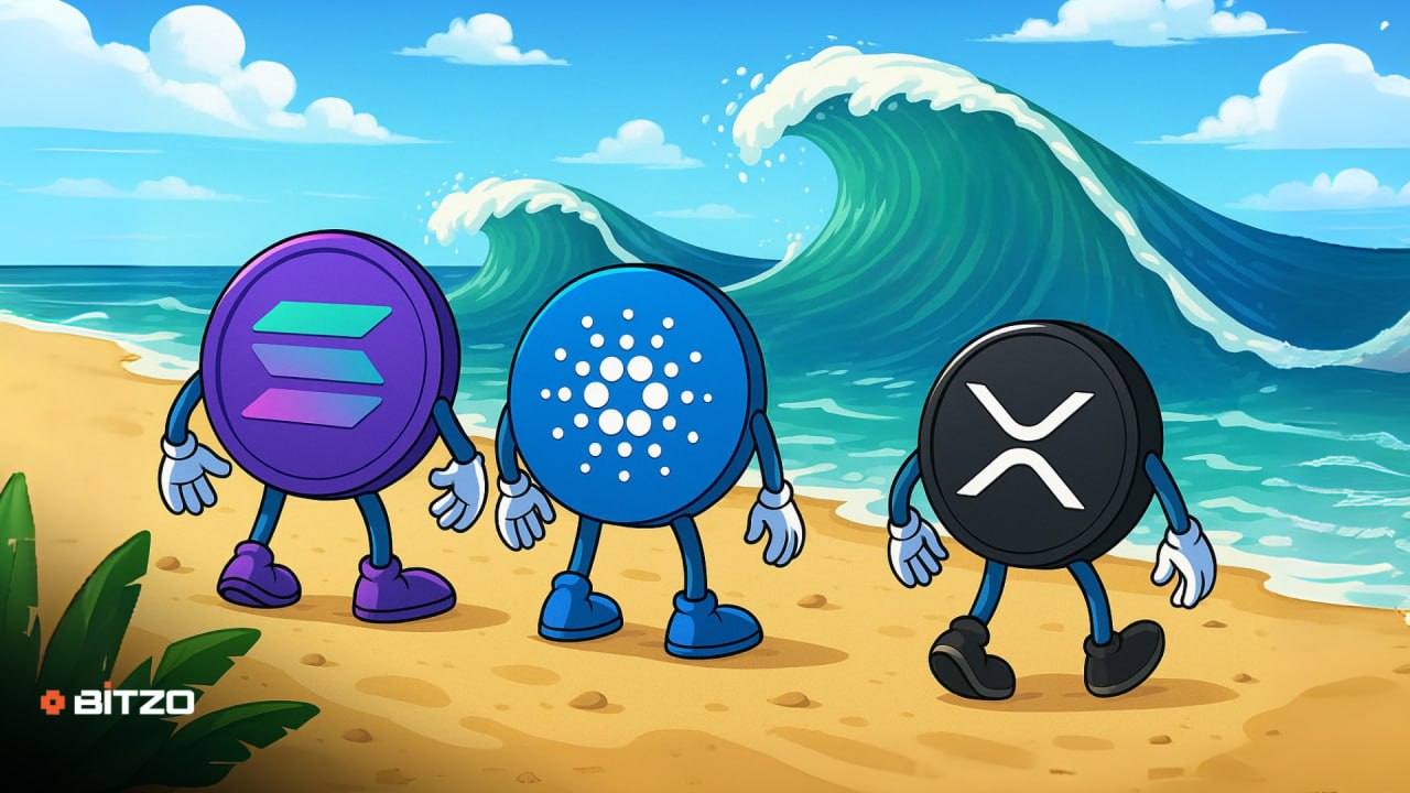 Weekend Selloff - Here's Why Solana, Cardano And XRP Can Create Fresh Rally Wave On Monday
