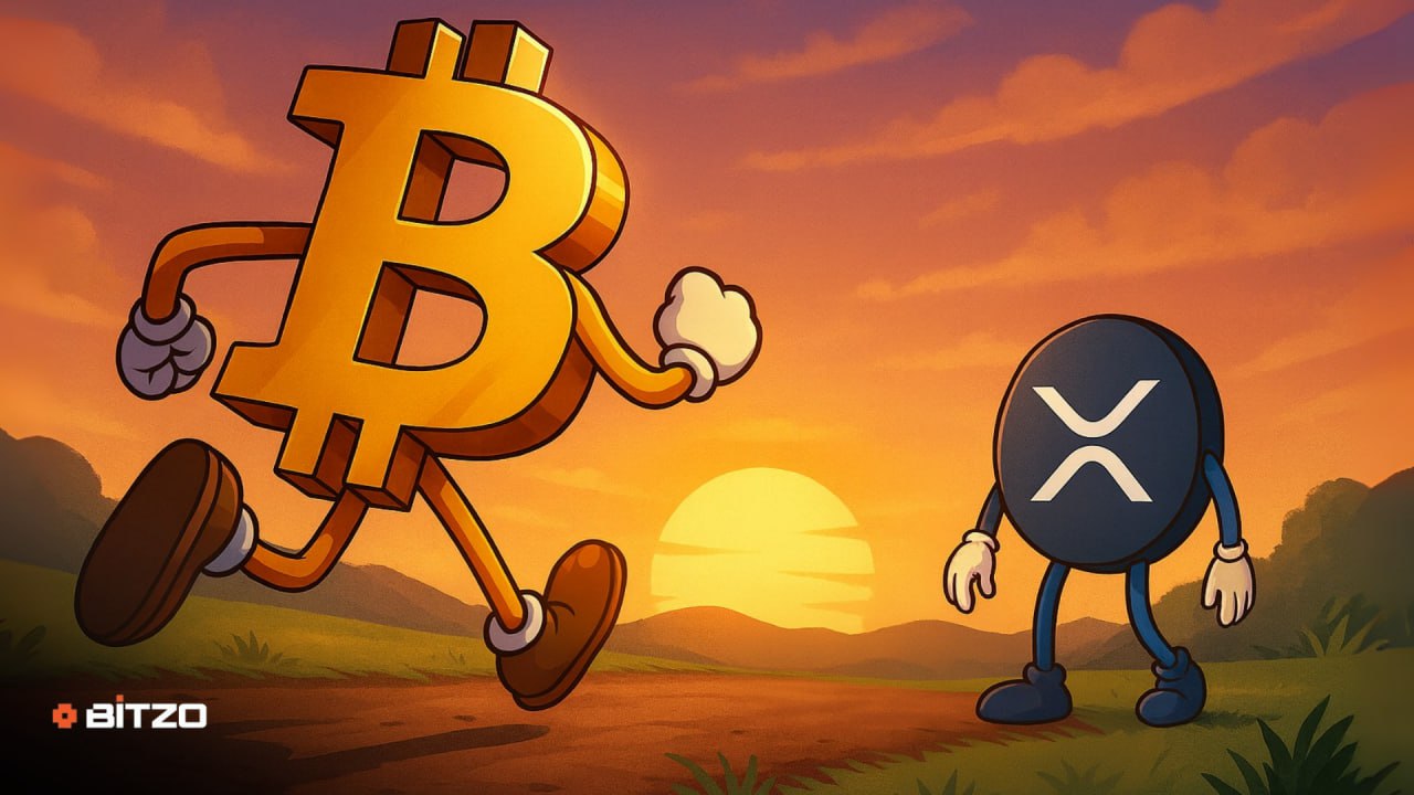 Altcoins to Watch Before the Next Bitcoin Run: XRP, LINK And TAO