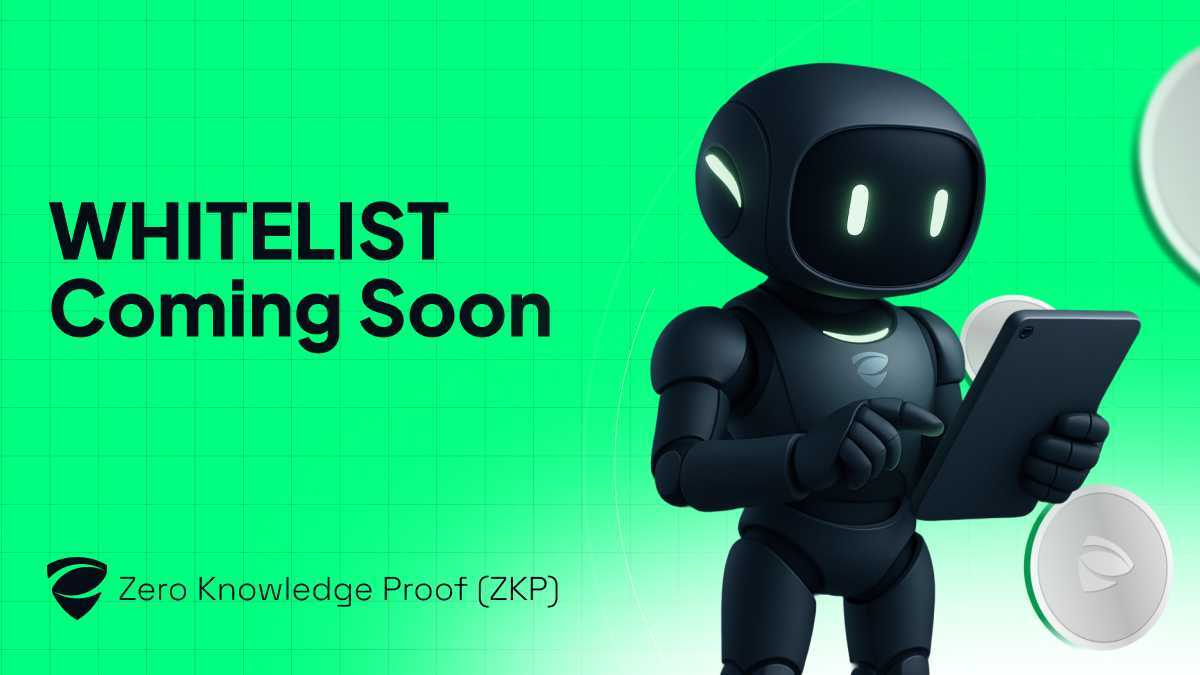 Emerging Insights on Zero Knowledge Proof (ZKP): A Revolutionary Crypto Presale