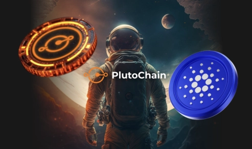 Whales Are Targeting These 6 Projects: XRP, Solana, Ethereum, Cardano, Polkadot, and PlutoChain