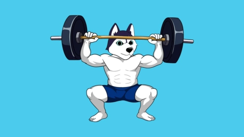 Get Ready for 2025 with Husky Inu (HINU)