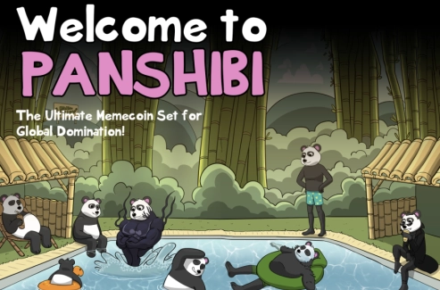 Investor Excitement Grows as Panshibi Secures $1 Million, While Dogecoin Faces Uncertain Future