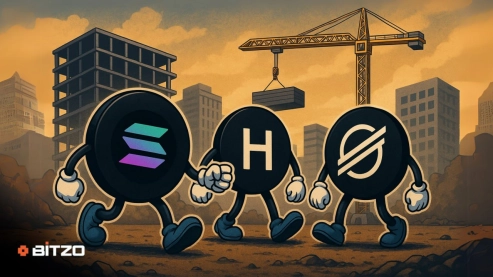 Building for the Future: Why Stellar, Hedera & Solana Lead Long-Term Crypto Portfolios for 2025