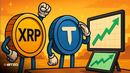 ALT SEASON RETURNS! XRP and Toncoin Positioned For Major Rallies - Here's What You Should Understand