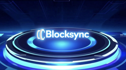 Make 2025 Your Breakthrough Year: Launch a Shiba Inu-Inspired Meme Coin with Blocksync's Expert Support