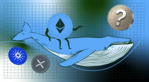 Ethereum Whales Next Acquisitions? Scouting for Next Big Breakout While Cardano & XRP Slips Lower