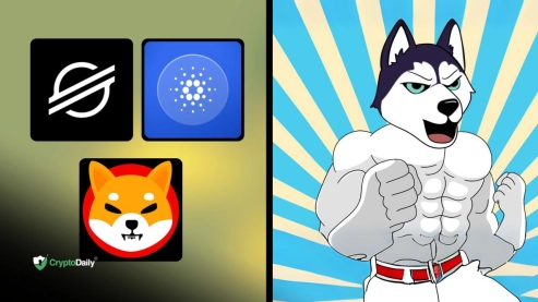 Bitcoin (BTC) Falls to $93K as Husky Inu (HINU) Presale Gains Momentum