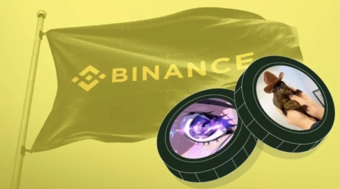 Binance's Potential Listing of Panshibi May Propel This Meme Coin 20x in February, Impacting Dogecoin Crypto