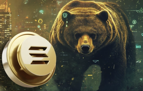 Are Solana and BNB on the Verge of Competing with a New Altcoin Dubbed the 'New XRP' by Investors?