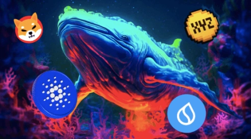 Whale Activity Ongoing In These Digital Assets - Here's How Much ADA, SUI, SHIB & XYZVerse (XYZ) Price Skyrockets If...