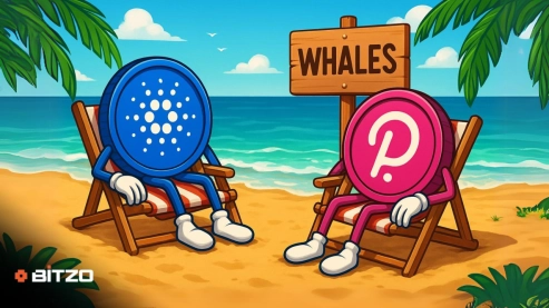 Cardano & Polkadot Whale Accumulation Spikes – Are We About to See a Bullish Pattern Repeat?