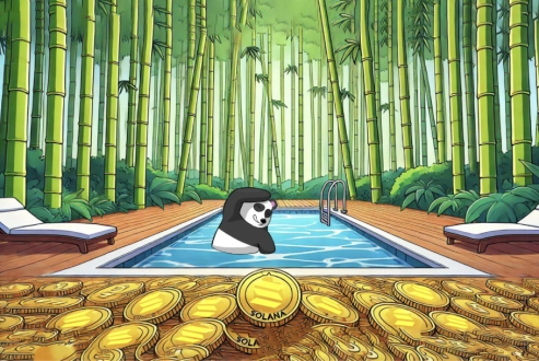 Exploring Solana's Rise and the Global Buzz Around the Panshibi Meme Coin