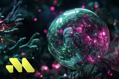 DogWifHat & BONK Meme Craze Slows as Investors Shift Focus to Practical Solutions