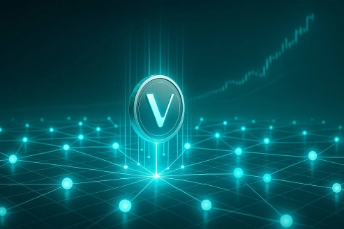 New Validators Join VeChain Network — Can VET Build Long-Term Momentum?