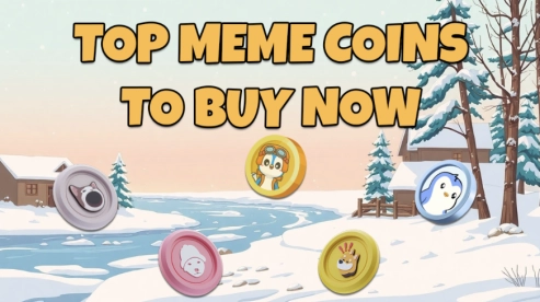 The Exciting Evolution of Meme Coins: A Journey Through 2025