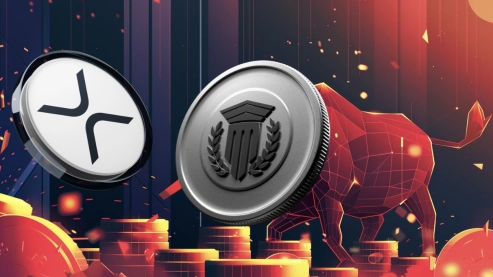 XRP's DEX Achieves $17M in Daily Trades, CEO Announces, As New DeFi Project Mutuum Finance Kicks Off Presale