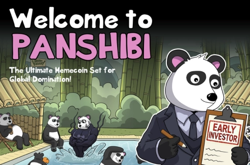 A Single Viral Meme Dominates X for a Day, Attracting Thousands of Clicks as Investors Flock to Panshibi's Early Phases