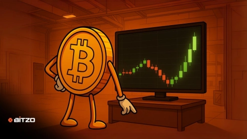 Bitcoin Price Analysis: BTC Rallies Then Drops, Risks $100,000 Breakdown
