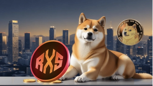 The initial five months of 2021 were enough to make someone a Dogecoin millionaire, whereas a new competitor to DOGE could achieve this in just three.