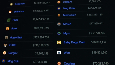 The Rise and Challenges of New Meme Coins: A Close Look at Dogwifhat and ChowWow