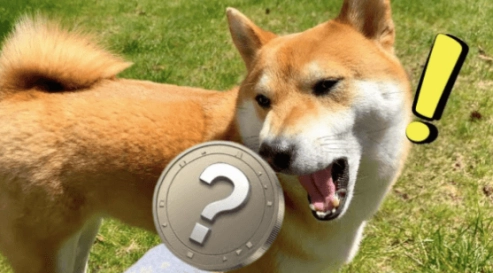Three Altcoins Poised to Surpass Shiba Inu’s 2021 Success by 2025