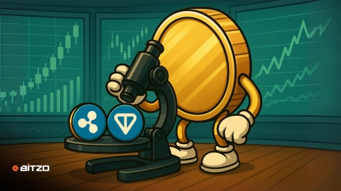 Curve, Ripple, and Toncoin Under the Microscope – Full Price Trend Analysis You Shouldn’t Miss