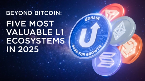 Exploring the Top Layer 1 Blockchain Ecosystems of 2025