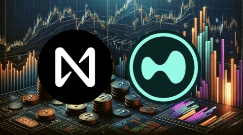 Unveiling the Surge of HYPE and Its Impact on NEAR Protocol