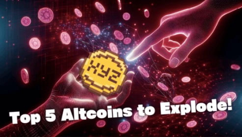 Exploring New Horizons in Cryptocurrency: Opportunities Amidst Decline