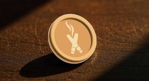 Best Crypto to Buy Now: Prepare for 2025's Bull Run with These 3 Coins Offering Transformative Returns