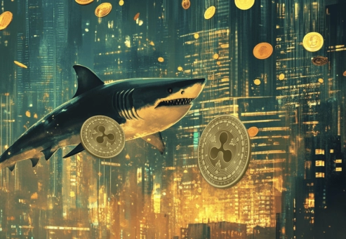 Why Solana's Price Could Soar Again in 2025, While XRP Watches a Rising PayFi Star