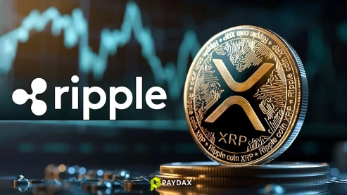 Exploring XRP and the Rising Influence of Paydax in DeFi