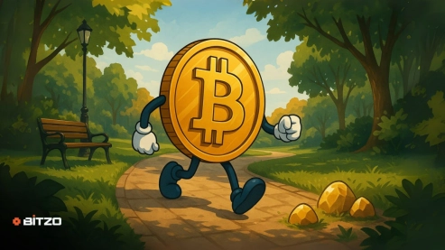 Bitcoin Price Analysis: BTC Eyes Move Higher As Price Action Recovers