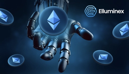 Toncoin and Ethereum's Decline in 2024 and Elluminex's Plans for Revival in 2025