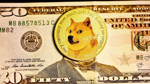 Exploring the Surge of Paydax (PDP) Backed by Dogecoin Millionaires