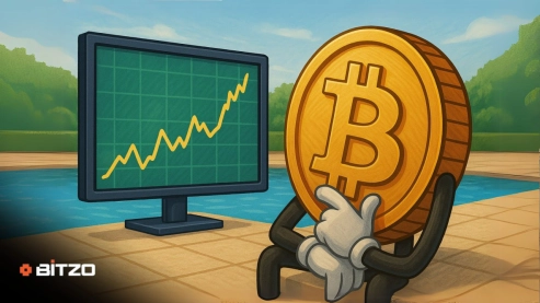 Bitcoin Price Analysis: BTC Trades Below $80,000 As Markets Remain Jittery