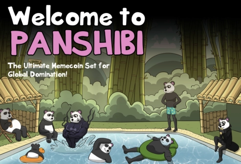 Panshibi Positioned for Massive Growth in 2025, Says Leading Crypto Analyst, as Meme Surges Over 100% in a Few Days