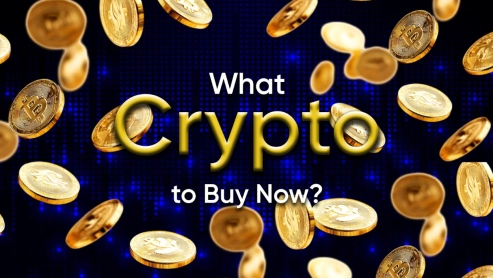 Crypto Revolution: Dawgz AI Leading the Charge