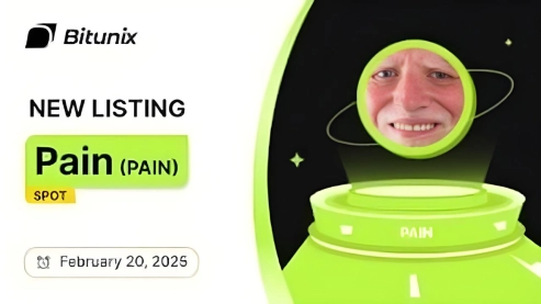 PAIN Meme Coin: A Tale of Humor and Resilience in the Crypto World