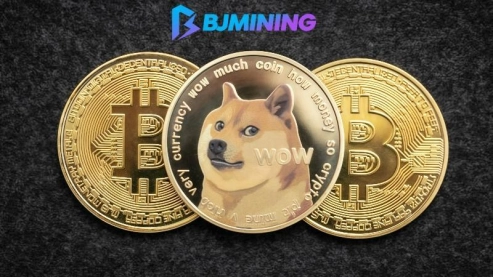 Maximizing Earnings with BJMining for DOGE and XRP Holders