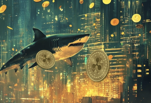 On-Chain Data Indicates Solana (SOL) Whales Are Heavily Investing in This Altcoin Dubbed the New XRP